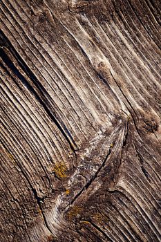 background or texture texture of old weathered board with moss