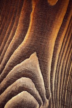 abstract background or texture detail of line year on dark brown wood