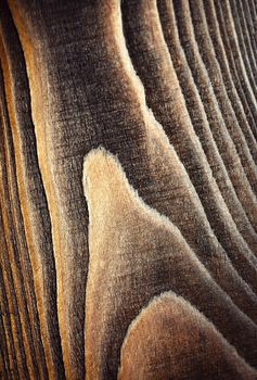 abstract background or texture detail of line year on dark brown wood