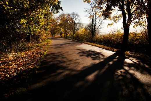 seasonal nature background Autumn on the morning road