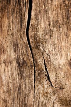 background or texture wavy crack on old wood