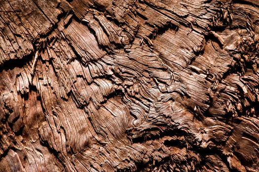 abstract background or texture of dark brown color with torn wood