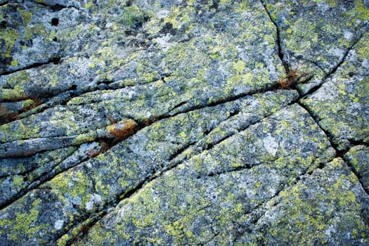 abstract background or texture granite cracked rock with yellow moss