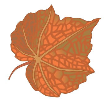 A brown autumn leaf isolated over a white background