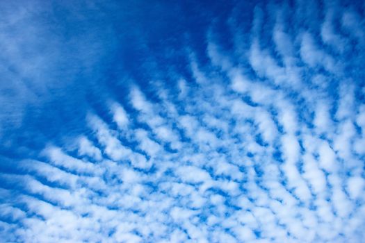 background or texture details sky with clouds algae