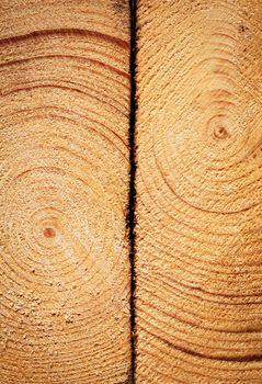 background or texture two spruce boards with annual rings