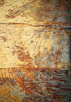 backgroune or texture Abstract surface of old varnished beech wood