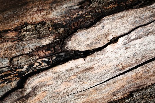 abstract background or texture detail of old weathered wood surface