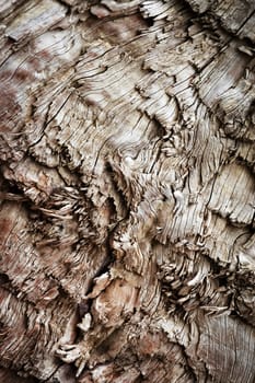 abstract background or texture detail of torn chopped wood