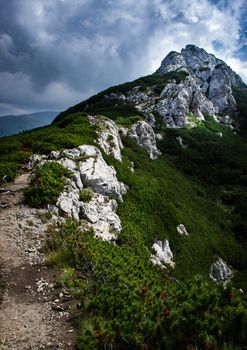 landscape background along the sidewalk towards the rocky peak sivy vrch