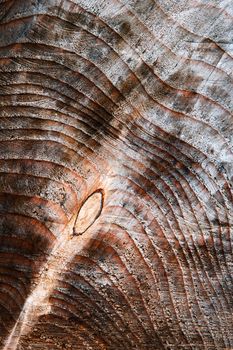 abstract texture wooden dark background with tree rings