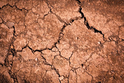 background or texture reddish brown soil with cracks