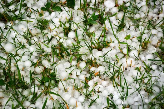 seasonal background ice hail in damaged grass