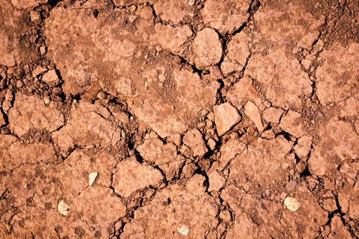 background or texture dry reddish earth with cracks