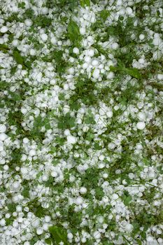 nature background ice hail on a green lawn