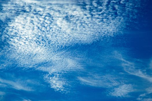 seasonal nature background abstract sky with clouds of algae