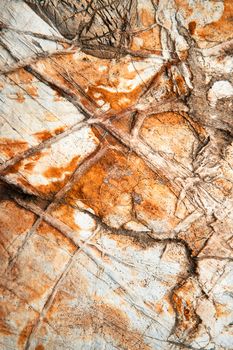 abstract brown background quartz veins on limestone rock