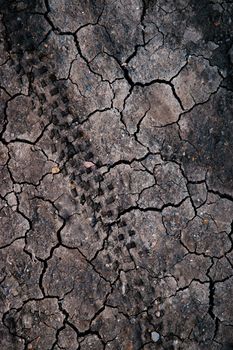 background or texture dry clay with tire cyclo tracks