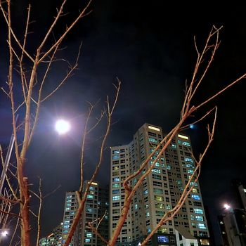 Residential building at night with moon shining bright and tree branches in foreground