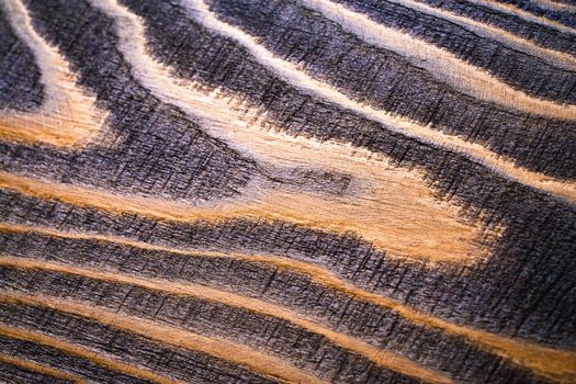 abstract background or texture detail of cut old wood structure