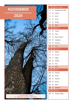 background Slovak calendar with names for November 2020