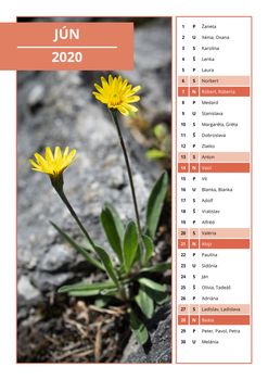 background Slovak calendar with names for June 2020