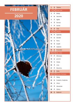 background Slovak calendar with names for February 2020