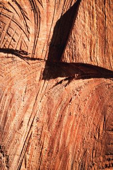 background or texture abstract wood surface with shadow