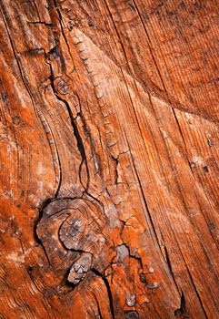 background or texture old wood with colored paint