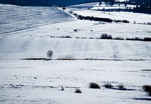 background detail on snowy fields and meadows