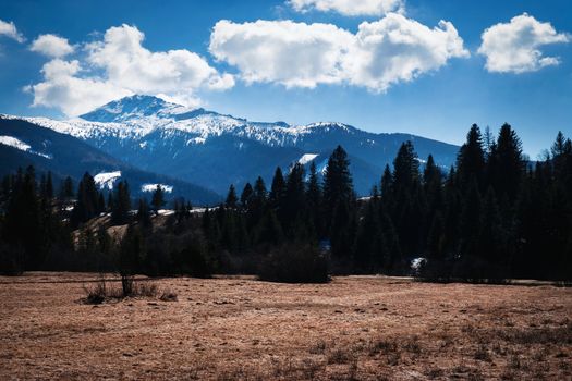 nature background slow arrival of spring in mountain country