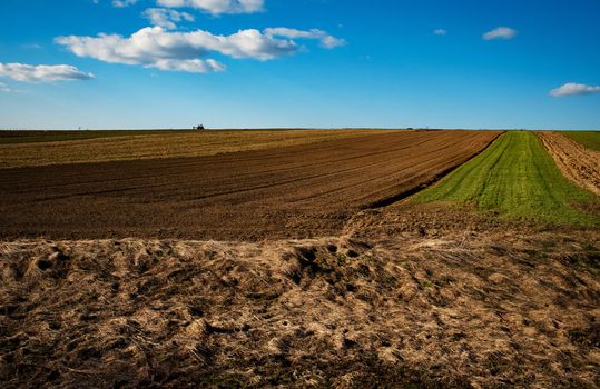 landscape seasonal background Fields sowing in spring