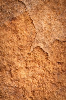 food abstract background or texture honey baked plate