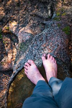 background bare feet on a tree tree in a forest