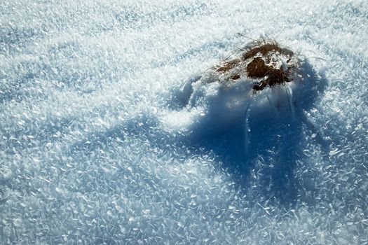 seasonal nature background frozen flakes of snow