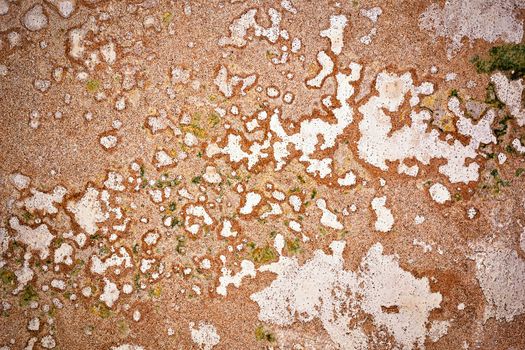 abstract background or texture detail of the pattern on the old stucco plaster