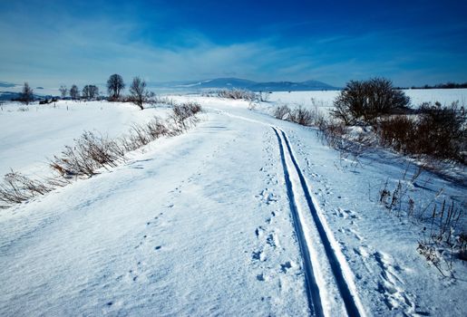 seasonal nature sunny winter landscape with a cross country trail