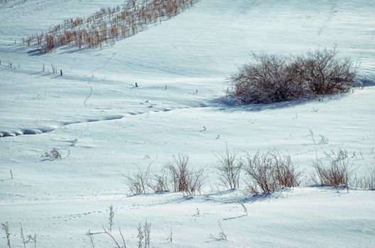 seasonal background fields and meadows agricultural winter landscape