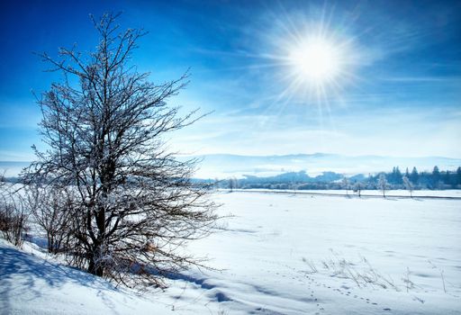 seasonal landscape background winter landscape against sunlight