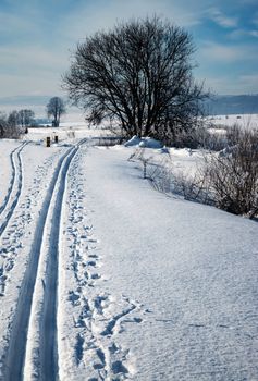 seasonal landscape background a cross-country route runs around the tree