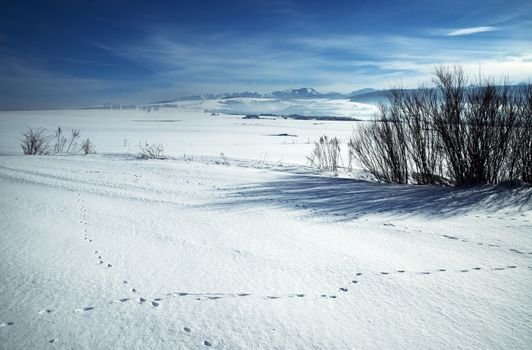 seasonal landscape snowy meadows on a mountain background