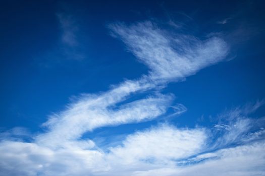 nature background or texture Wind blown abstract white cloud