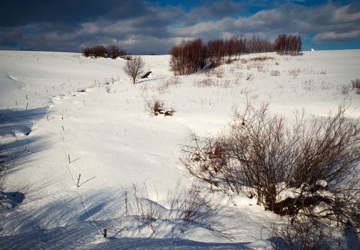 seasonal background Winter snowy landscape with shrubs and trees