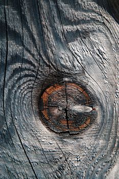 background or texture abstract detail on an old weathered wood