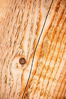 background or texture abstract orange detail of roughly sanded wood