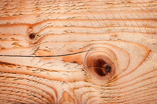 abstract background or texture detail of tree rings and knots on wood