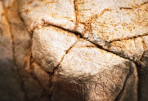 background or texture Detail of old browned limestone