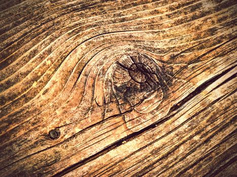 abstract background or texture detail of old wood with knot