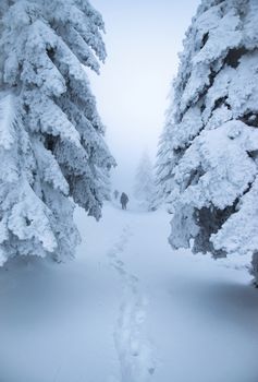 landscape background figures in the fog in winter landscape