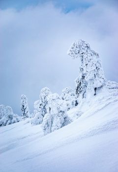 nature seasonal lanscape background abstract sculpture of frozen trees